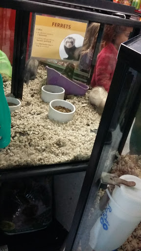 Pet Supply Store «Petco Animal Supplies», reviews and photos, 1014 Shoppes At Midway Dr, Knightdale, NC 27545, USA