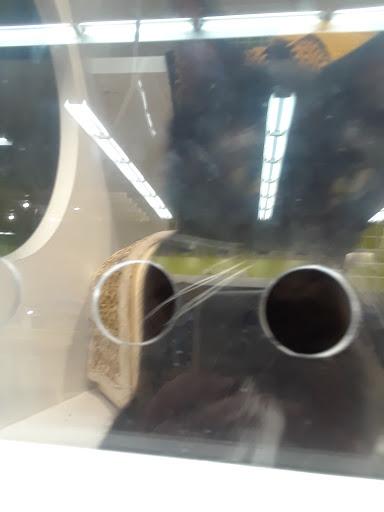 Pet Supply Store «Petco Animal Supplies», reviews and photos, 1320 E Lincoln Way p101, Sparks, NV 89434, USA