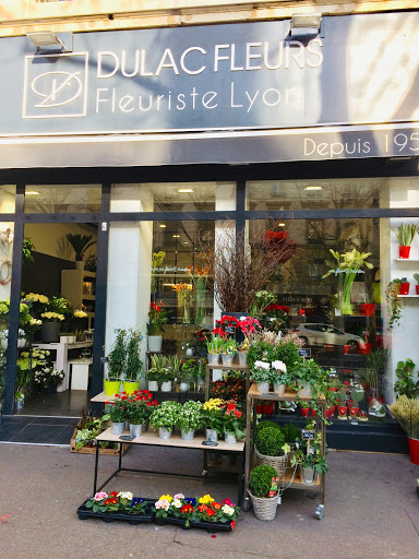 Dulac Fleurs, artisan Fleuriste Lyon