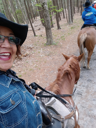 Tourist Attraction «C and L Stables», reviews and photos, 1095 Ives Rd, East Greenwich, RI 02818, USA