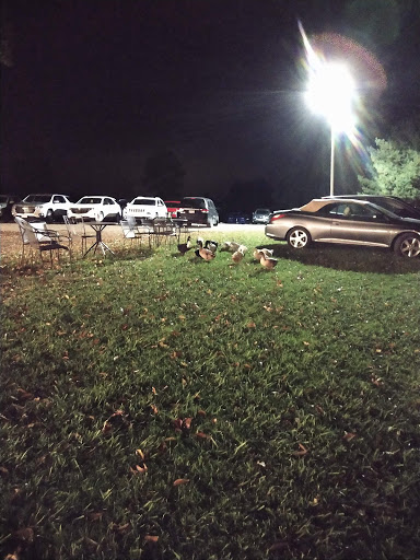 Winery «Hartford Hill Winery», reviews and photos, 3864 Bushnell Campbell Rd, Fowler, OH 44418, USA