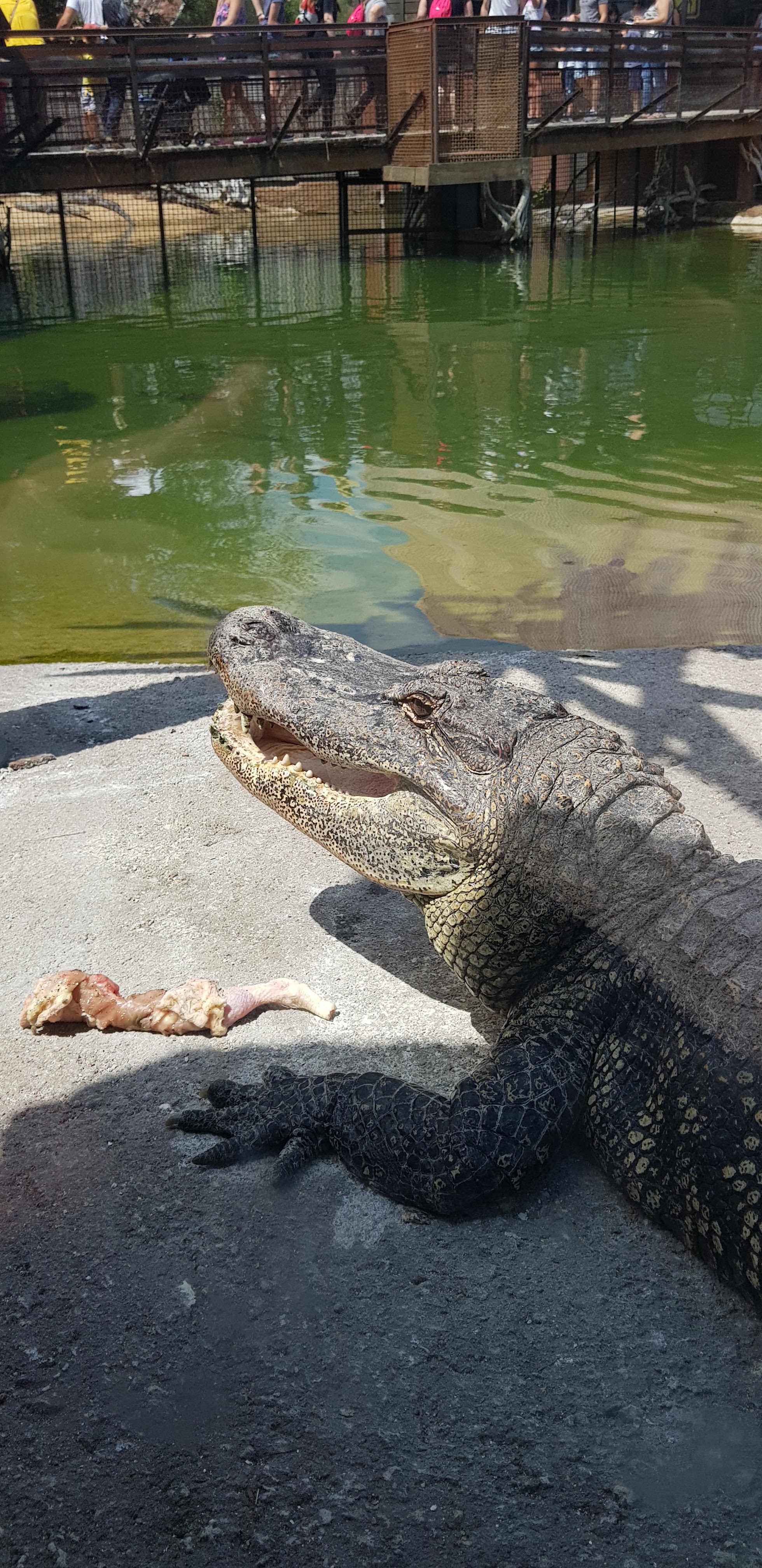 Photo n° 1 de l'avis de Delphine.� fait le 05/08/2018 à 11:10