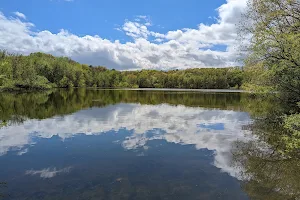 Gammino Pond Preserve image