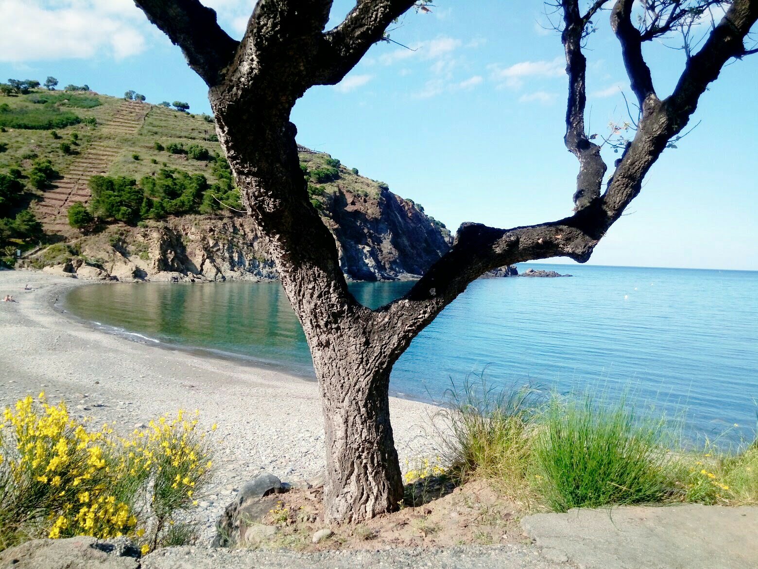 Φωτογραφία του Peyrefite beach και η εγκατάσταση