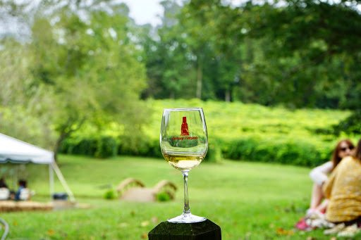 Winery «Cartecay Vineyards», reviews and photos, 5704 Clear Creek Rd, Ellijay, GA 30536, USA