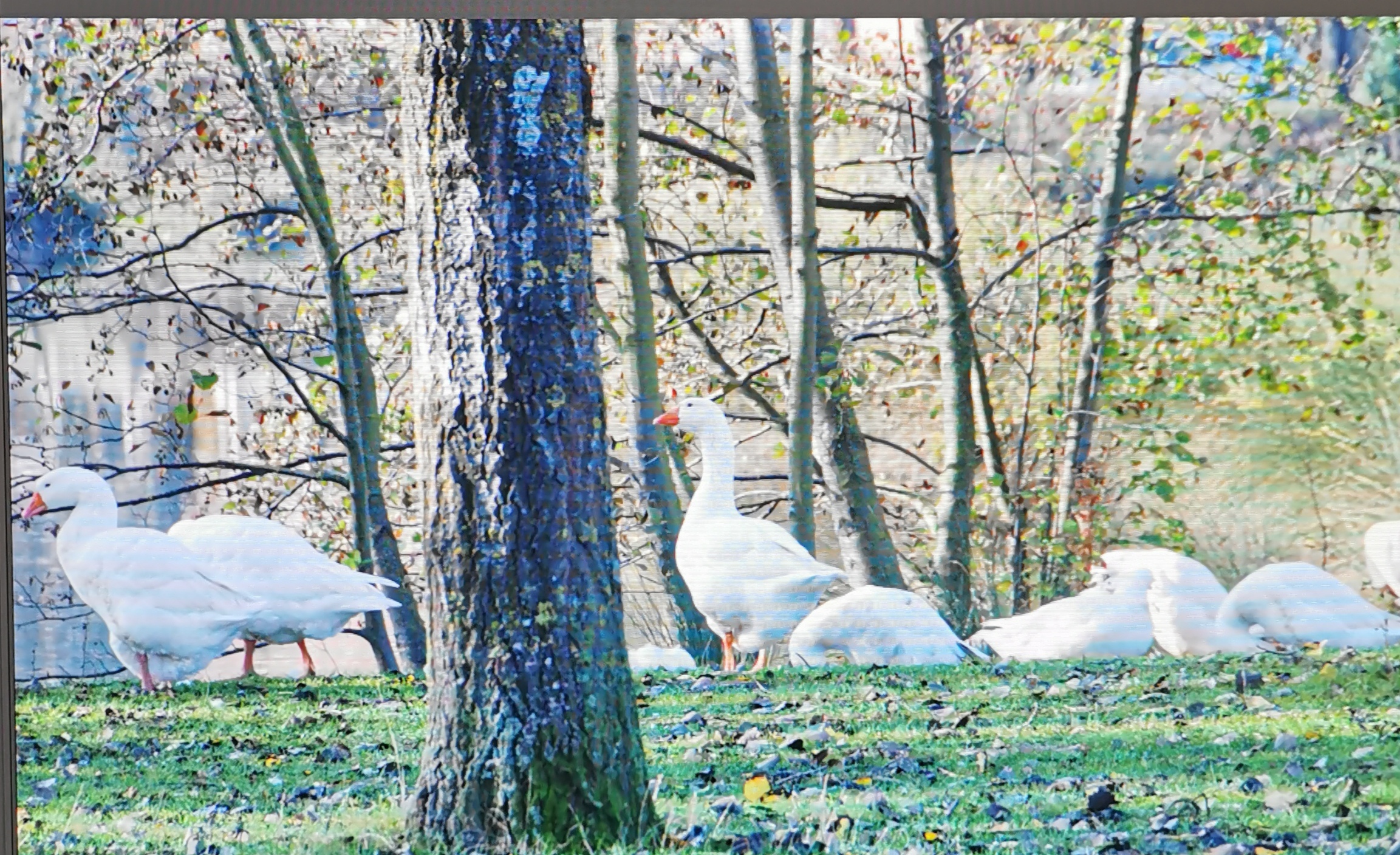 Photo n° 4 de l'avis de Flo.e fait le 24/02/2021 à 16:47