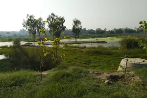 Dheerpur Wetland Project image