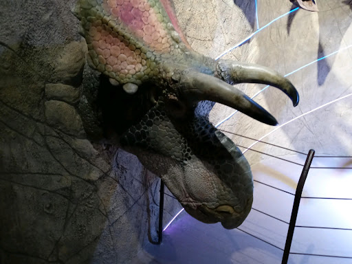 Tourist Attraction «Arizona Museum of Natural History», reviews and photos, 53 N Macdonald, Mesa, AZ 85201, USA