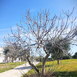 Photo n°1 de l'avis de Alla.u fait le 20/03/2019 à 21:09 sur le  Villa Cenci à Cisternino