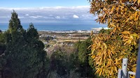 朝倉山城跡