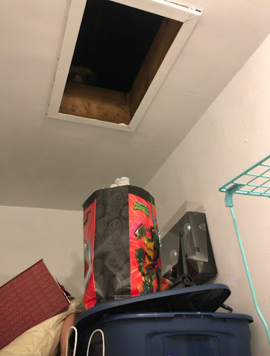 Hardware Store «Slaters Hardware», reviews and photos, 1141 N Memorial Dr, Lancaster, OH 43130, USA