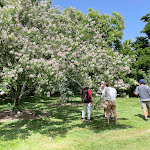 Photo n° 6 de l'avis de Roselyne.o fait le 17/06/2022 à 16:29 pour Les Jardins de Coursiana à La Romieu