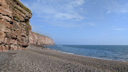 Fleswick Bay Beach'in fotoğrafı geniş bir kıyı şeridi ile birlikte