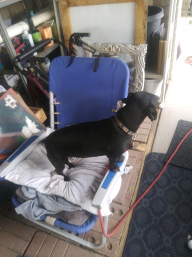 Shopping Mall «Deer Valley Shopping Center», reviews and photos, 4141 W Thunderbird Rd, Phoenix, AZ 85053, USA