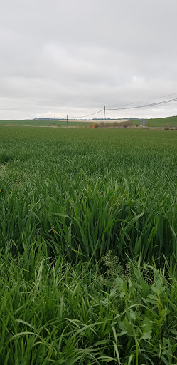 Piscina de Villarmentero de Esgueva en Villarmentero de Esgueva, Valladolid