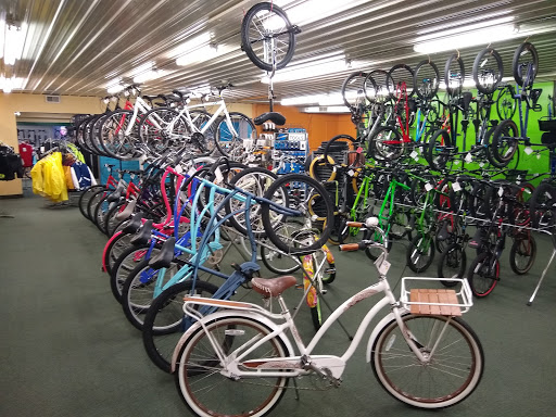 Bicycle Store «Forest Lake Cycle & Skate Bike Shop», reviews and photos, 455 Lake St N, Forest Lake, MN 55025, USA