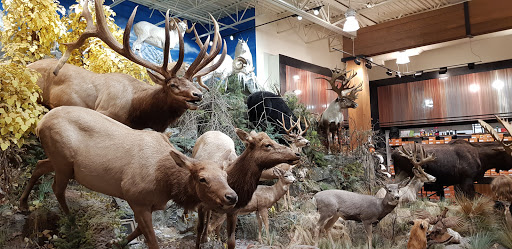 Outdoor Sports Store «Field & Stream», reviews and photos, 520 Clock Tower Way, Crescent Springs, KY 41017, USA