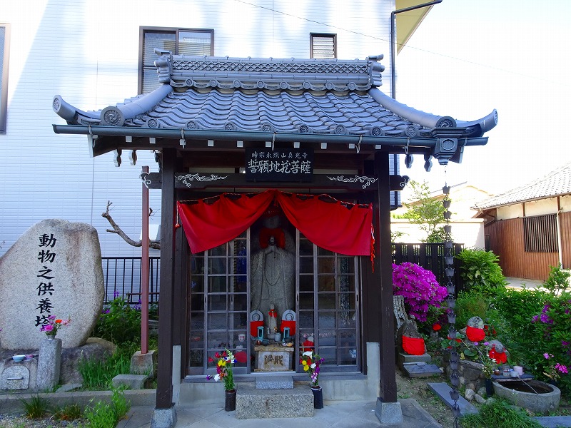 真光寺