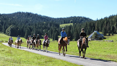 Cheval Passion Jura à Chaux-Neuve