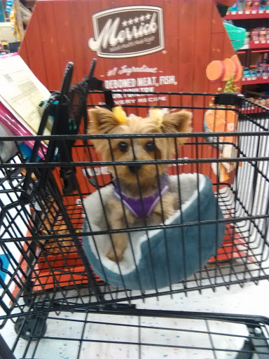 Petco image