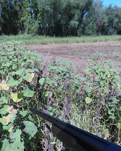 Nature Preserve «Marais Temps Clair Conservation Area», reviews and photos, 5134 Island Road, St Charles, MO 63301, USA