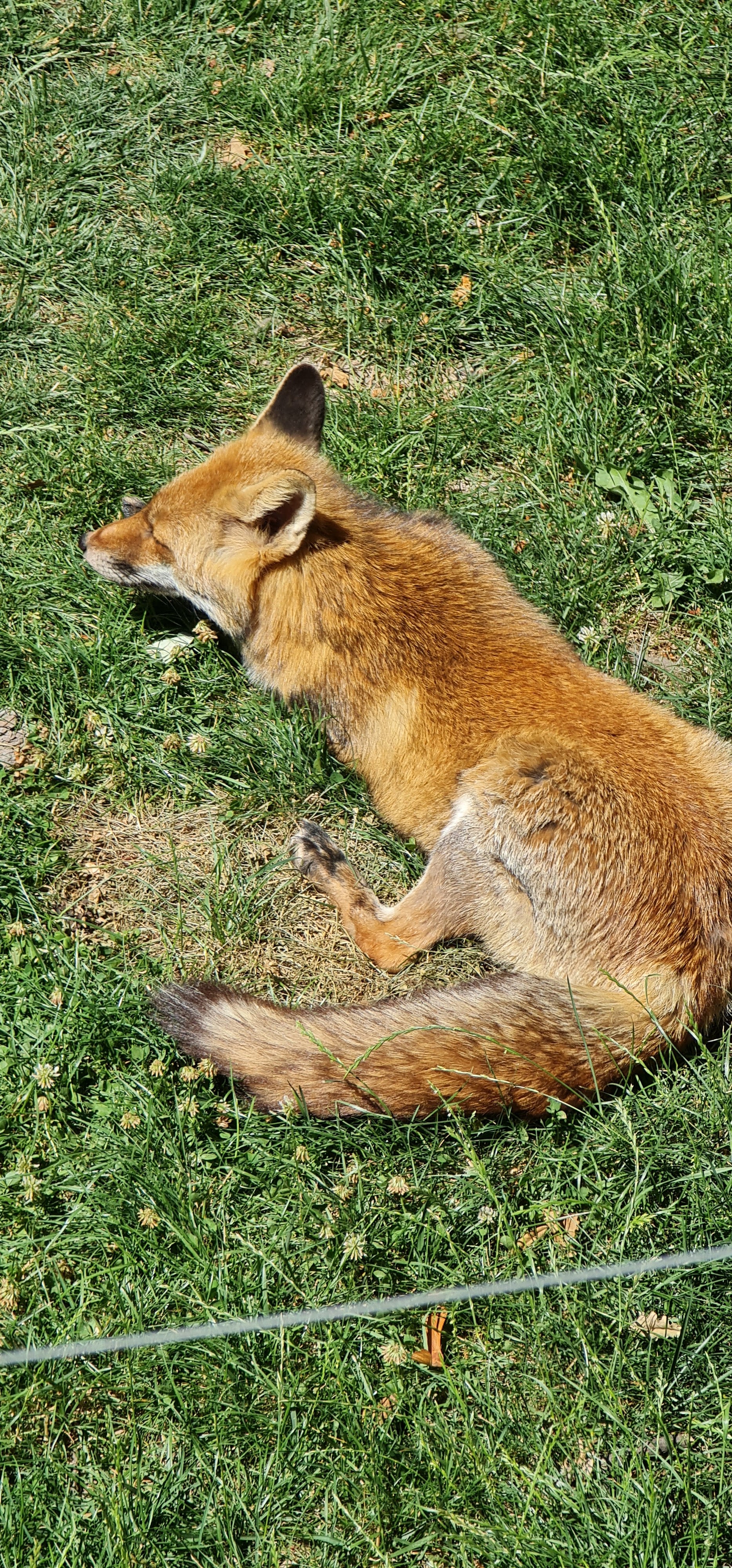 Photo n° 12 de l'avis de Julie.a fait le 03/08/2019 à 12:47