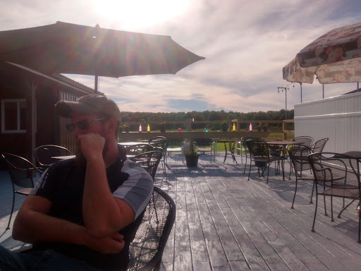 Winery «Emerine Estates Inc», reviews and photos, 5689 Loveland Rd, Jefferson, OH 44047, USA