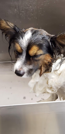 Pet Supply Store «Lemos Feed & Pet Supply», reviews and photos, 1320 Main St, Morro Bay, CA 93442, USA