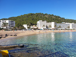 Cala de Sant Vicent Plajı'in fotoğrafı doğal alan içinde bulunmaktadır