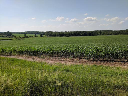 Campground «Cooperstown KOA», reviews and photos, 565 Ostrander Rd, Richfield Springs, NY 13439, USA