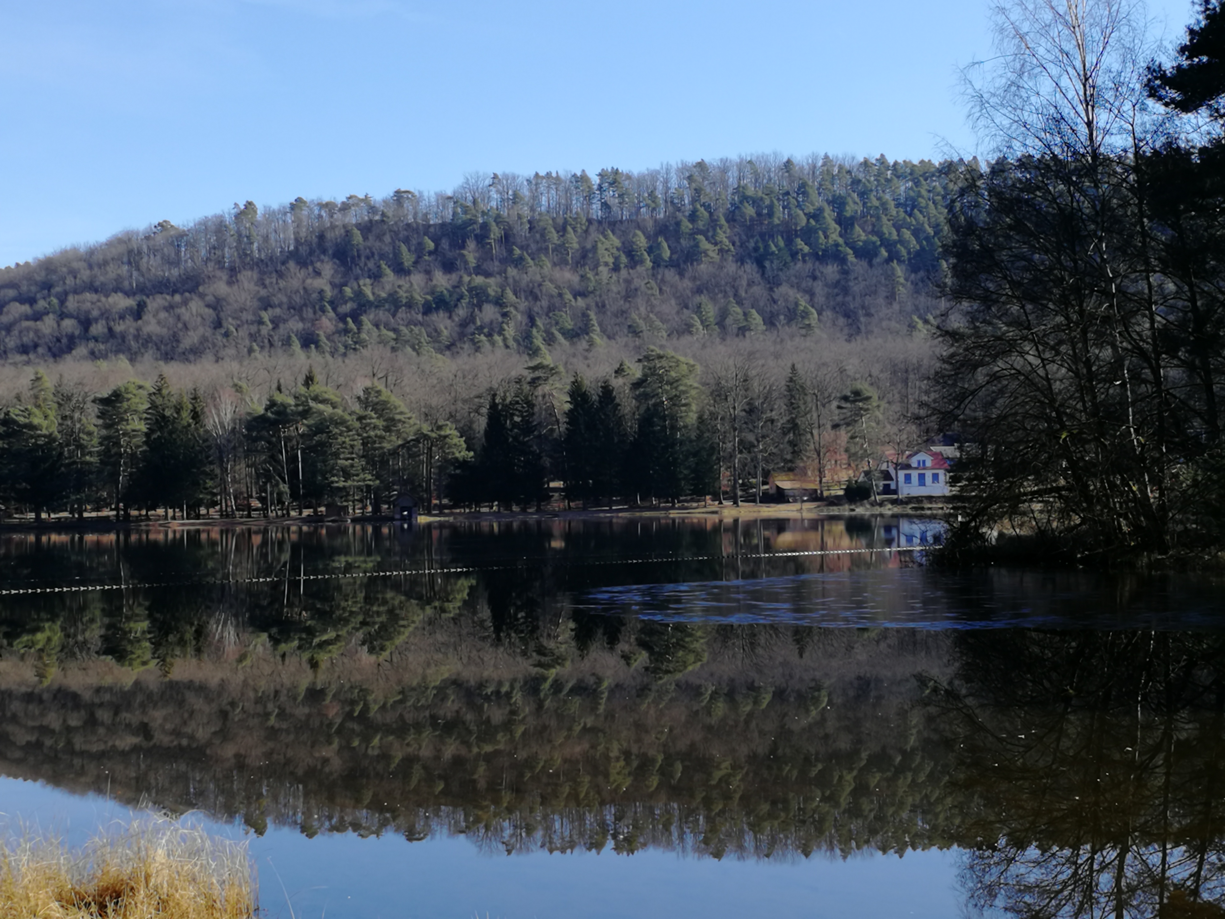 Photo n° 2 de l'avis de Josiane.e fait le 19/02/2019 à 18:10