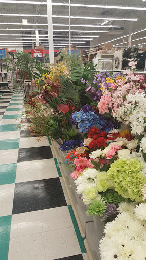 Craft Store «Michaels», reviews and photos, 540 Frandor Ave, Lansing, MI 48912, USA