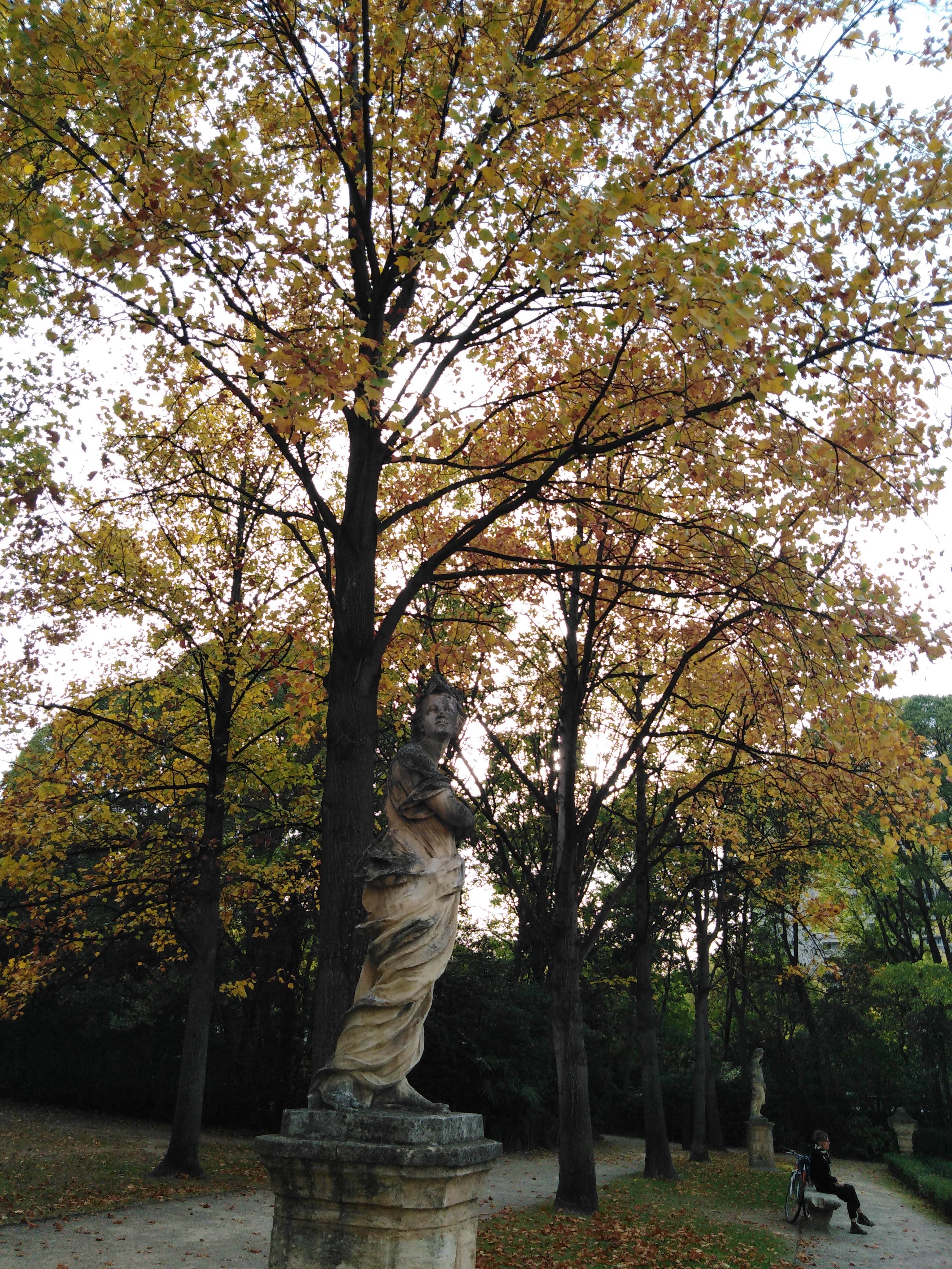 Photo n° 2 de l'avis de Nia.u fait le 29/10/2021 à 17:15