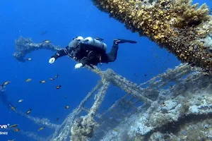 Dive Life - Shop & Dive Training image