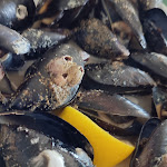 Photo n°4 de l'avis de Morena.r fait le 24/10/2023 à 20:02 sur le  Ristorante L'antica Rupe à Orvieto