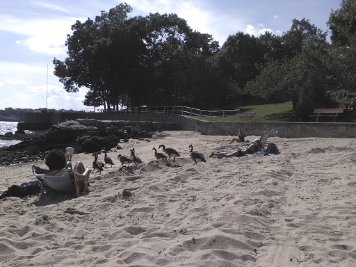 Park «Branford Point», reviews and photos, 4 Harbor St, Branford, CT 06405, USA