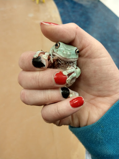 Pet Supply Store «Petco Animal Supplies», reviews and photos, 7721 Mentor Ave, Mentor, OH 44060, USA