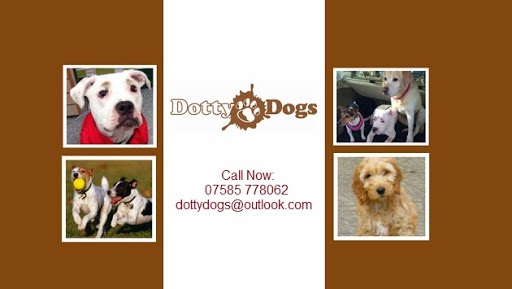 Dotty Dogs Ltd