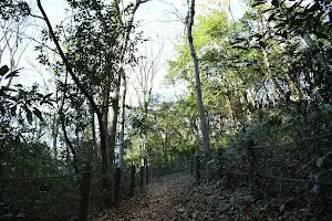 Kounodai Ryokuchi Park image
