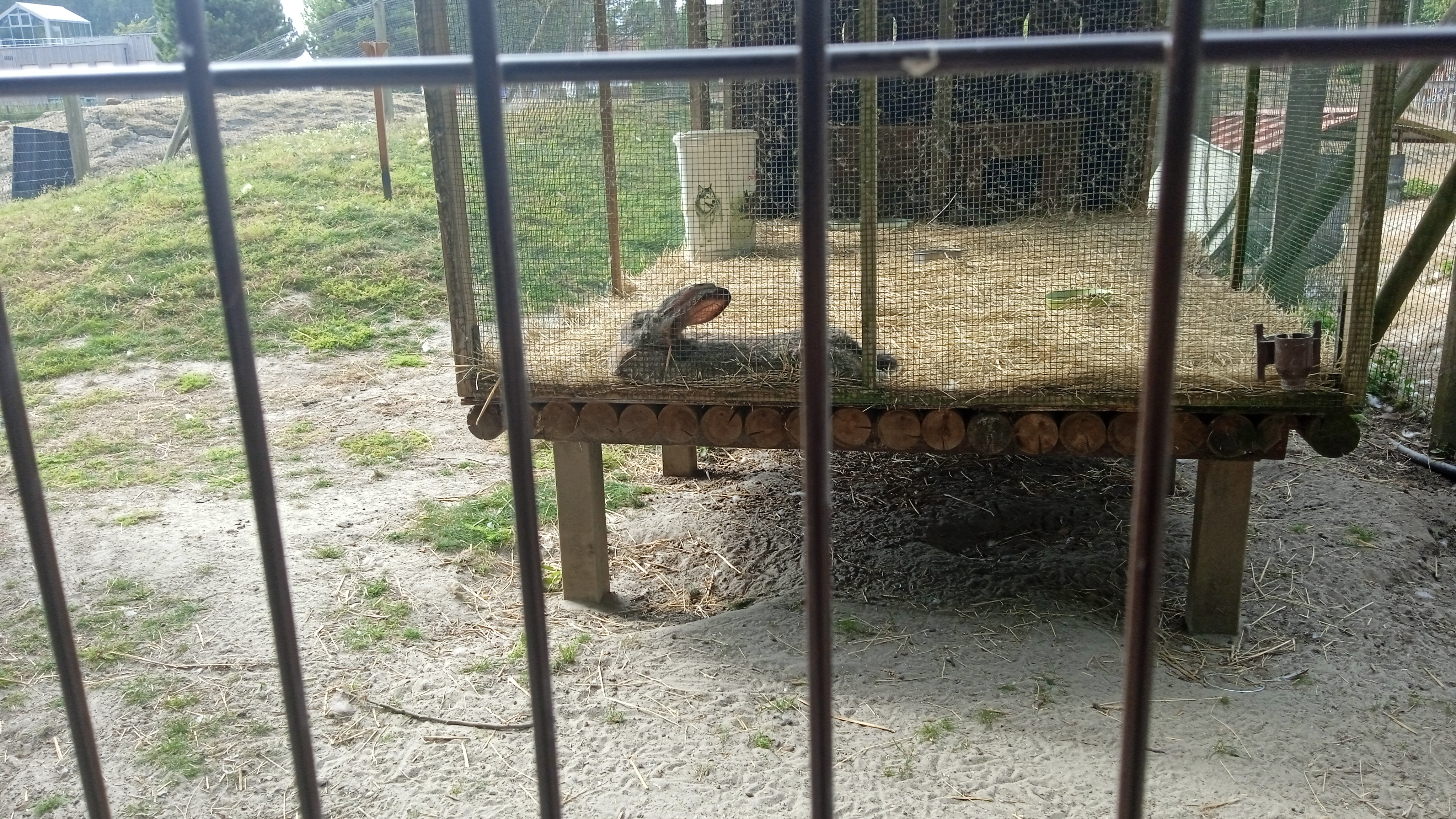 Photo n° 7 de l'avis de Phillipe.a fait le 15/08/2022 à 15:48