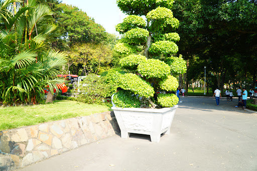 Landscaping courses in Ho Chi Minh