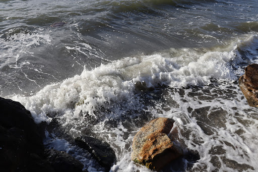 Park «Marine View Park», reviews and photos, 20945 Marine View Dr SW, Normandy Park, WA 98166, USA