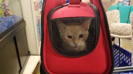 Pet Supply Store «PetSmart», reviews and photos, 15555 E 14th St, San Leandro, CA 94578, USA