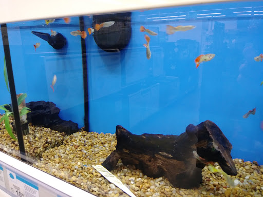 Pet Supply Store «Petco Animal Supplies», reviews and photos, 1011 University Blvd #100, Suffolk, VA 23435, USA