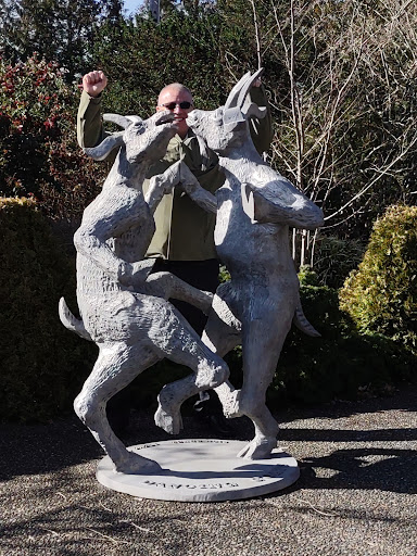 Coffee Shop «Dancing Goats Coffee Bar», reviews and photos, 4219 6th Ave SE, Lacey, WA 98503, USA