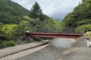 Shimizu Forest Park image