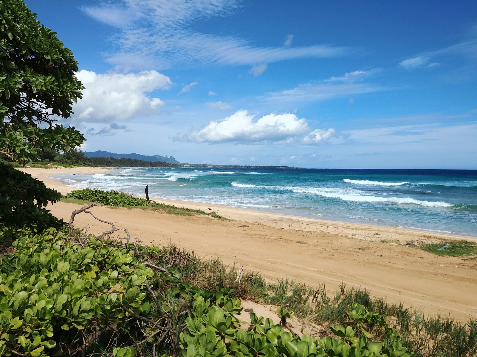 Foto von Kitchens Beach mit heller sand Oberfläche