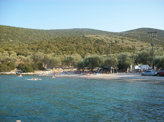 Alogoporos beach