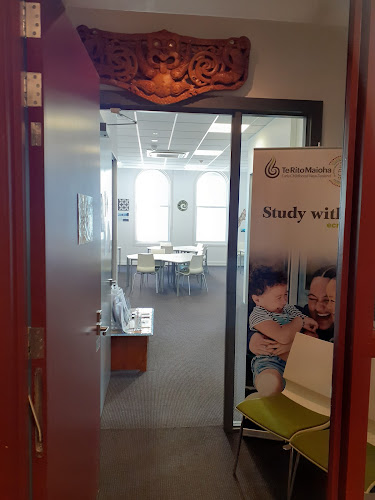Te Rito Maioha Early Childhood New Zealand - Dunedin Education Centre - University