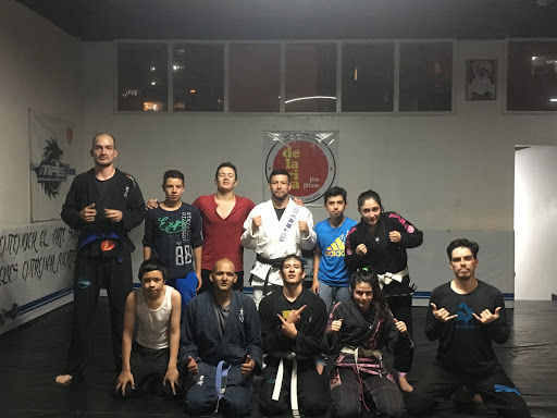 Clases de jiu jitsu en Bogota